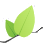 Leaflet